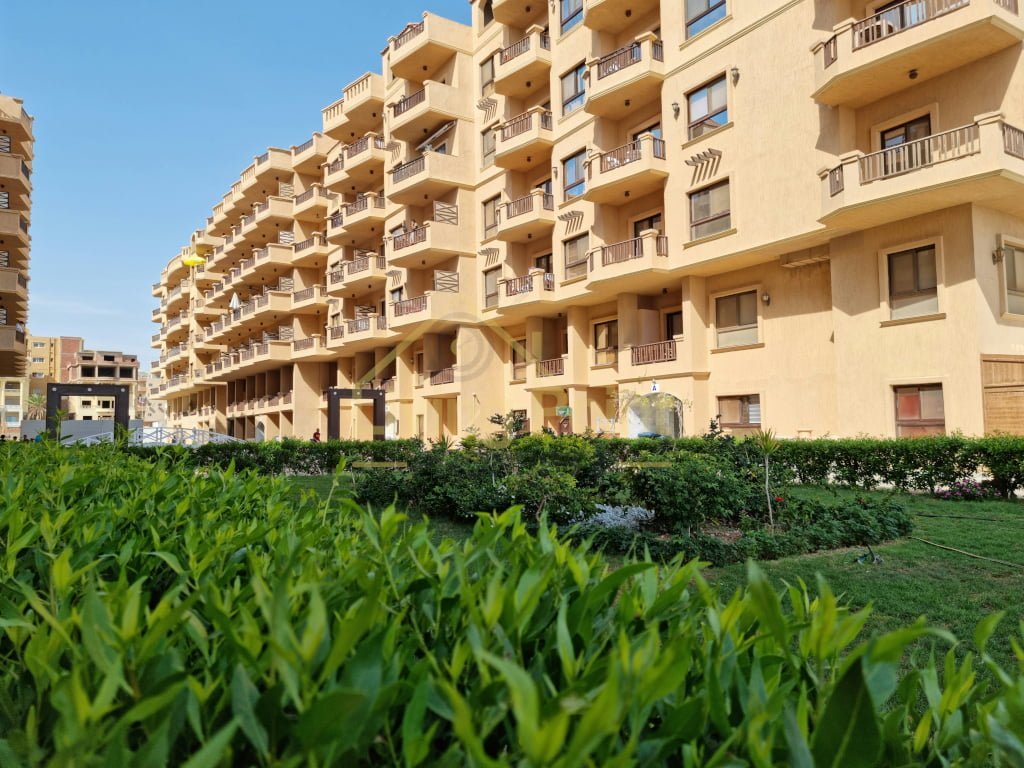 Studio im Turtles Beach Resort zu attraktivem Preis — Turtles Beach Al Ahyaa