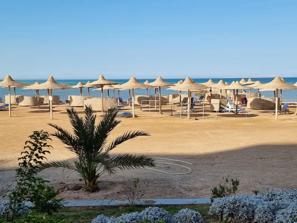 1-Schlafzimmer-Wohnung mit Privatstrand im Turtles Beach Resort — Turtles Beach Al Ahyaa